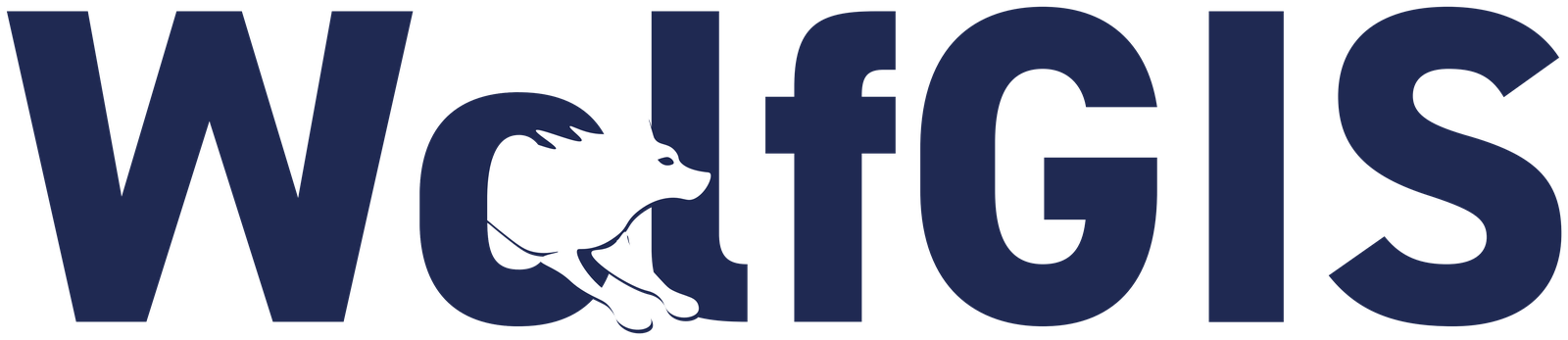 WolfGIS — seguridad informática para el sector salud